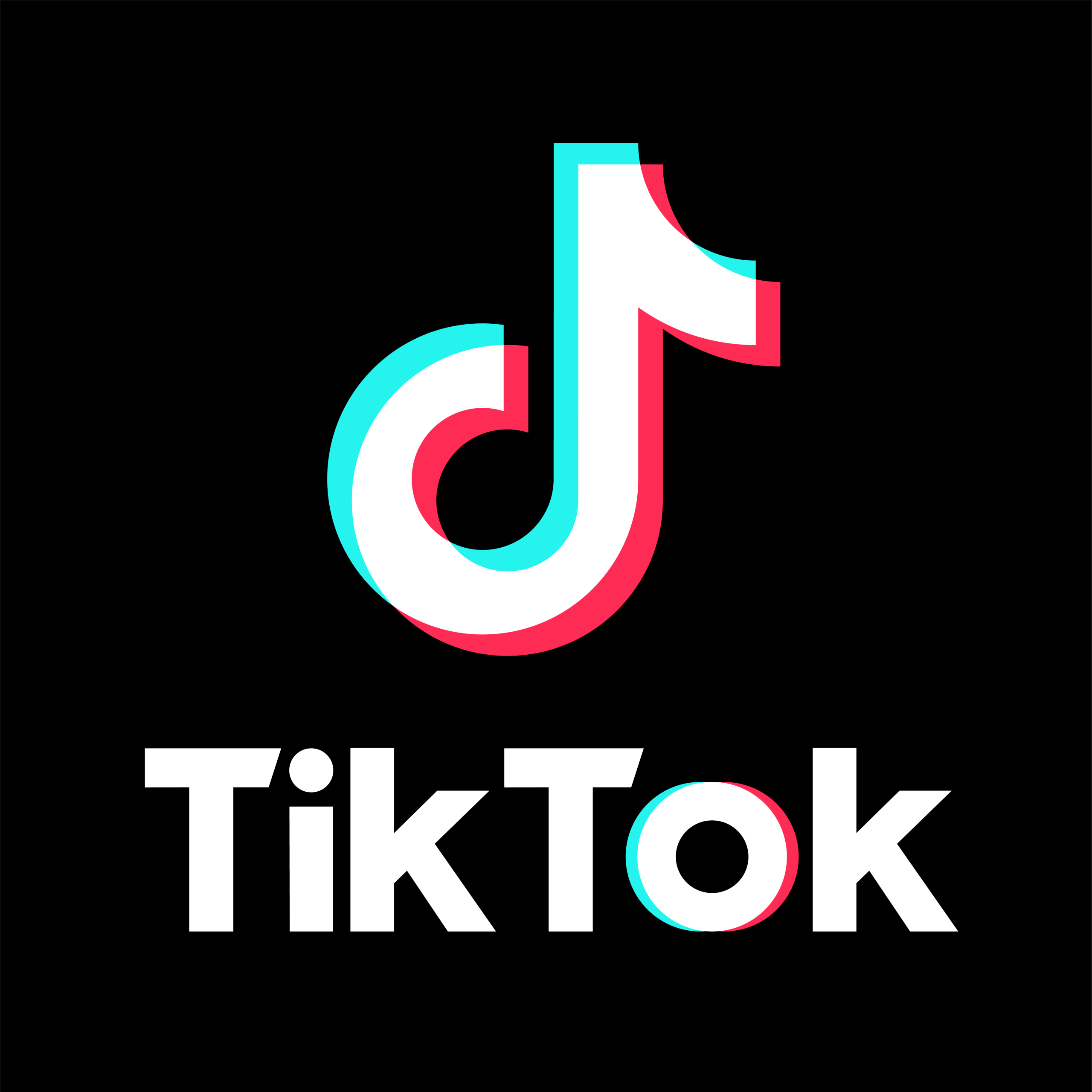 TikTok-logo-RGB-Tag